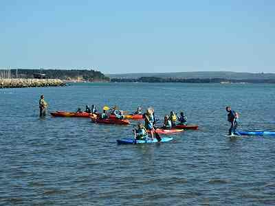 Family Group Kayaking