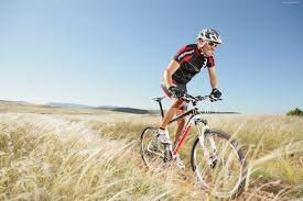 Mountain Bike Hire